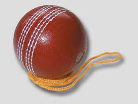 Sports Binoculars - Cricket Ball